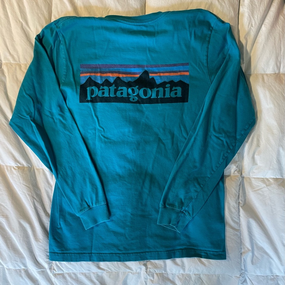 Patagonia Vibrant Blue Organic Cotton Shirt